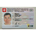 Swiss Driver’s License