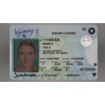 Wyoming Driver License and ID Card