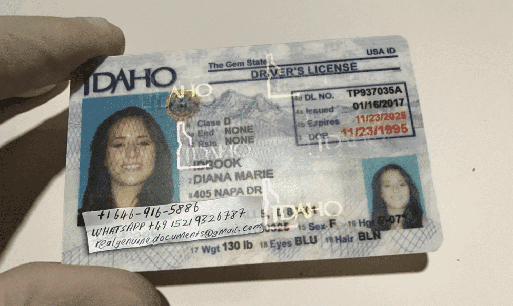 Idaho Driver License and ID Card