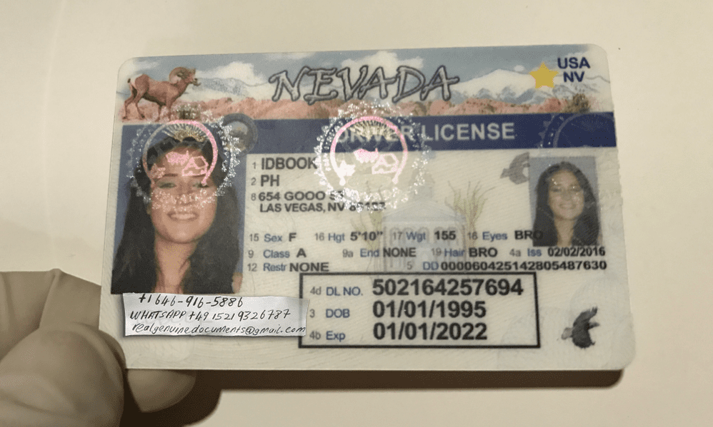 Buy Nevada Driver License and ID Card