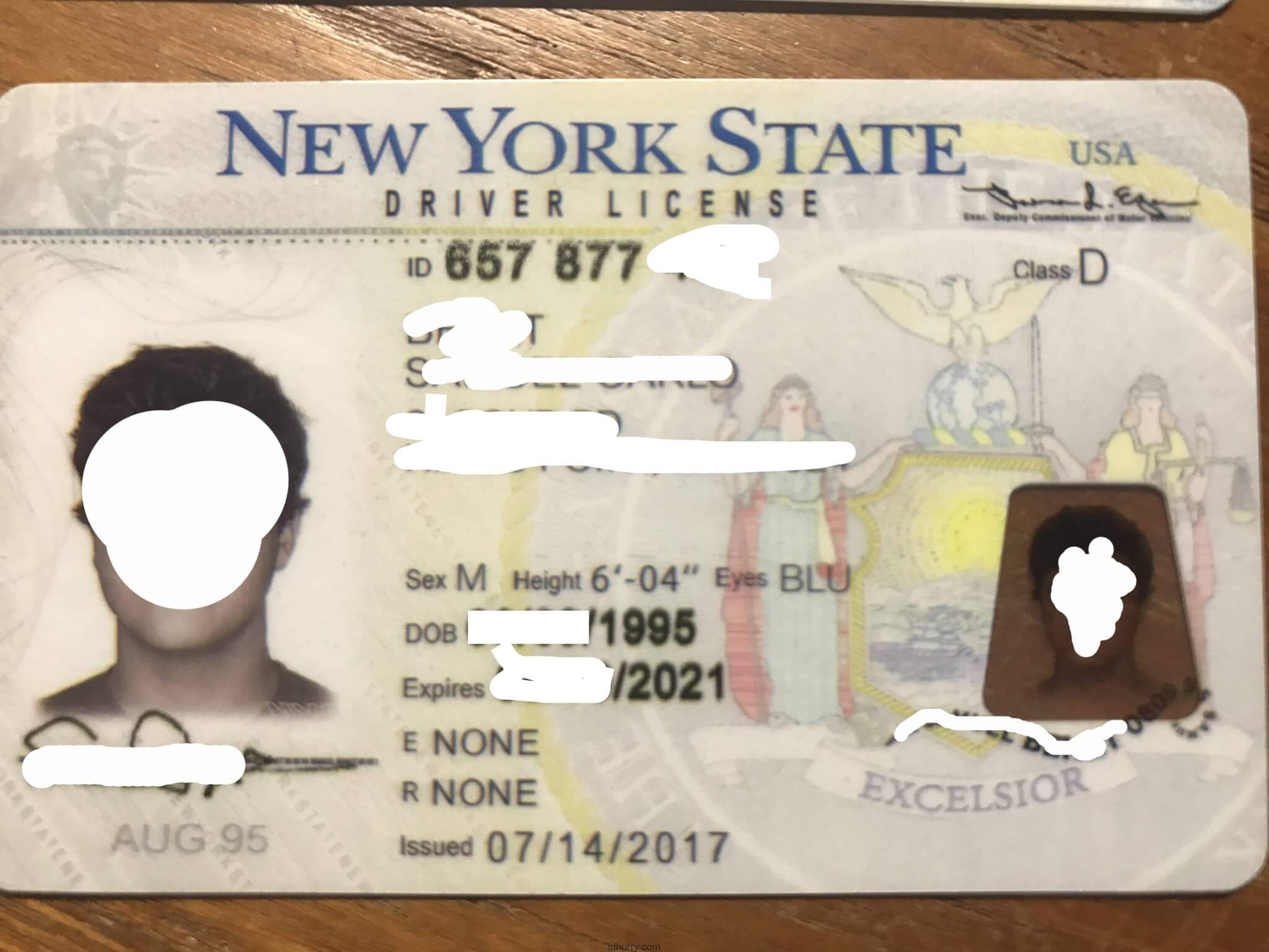 New York Driver License