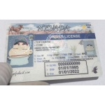 Buy Nevada Driver License and ID Card